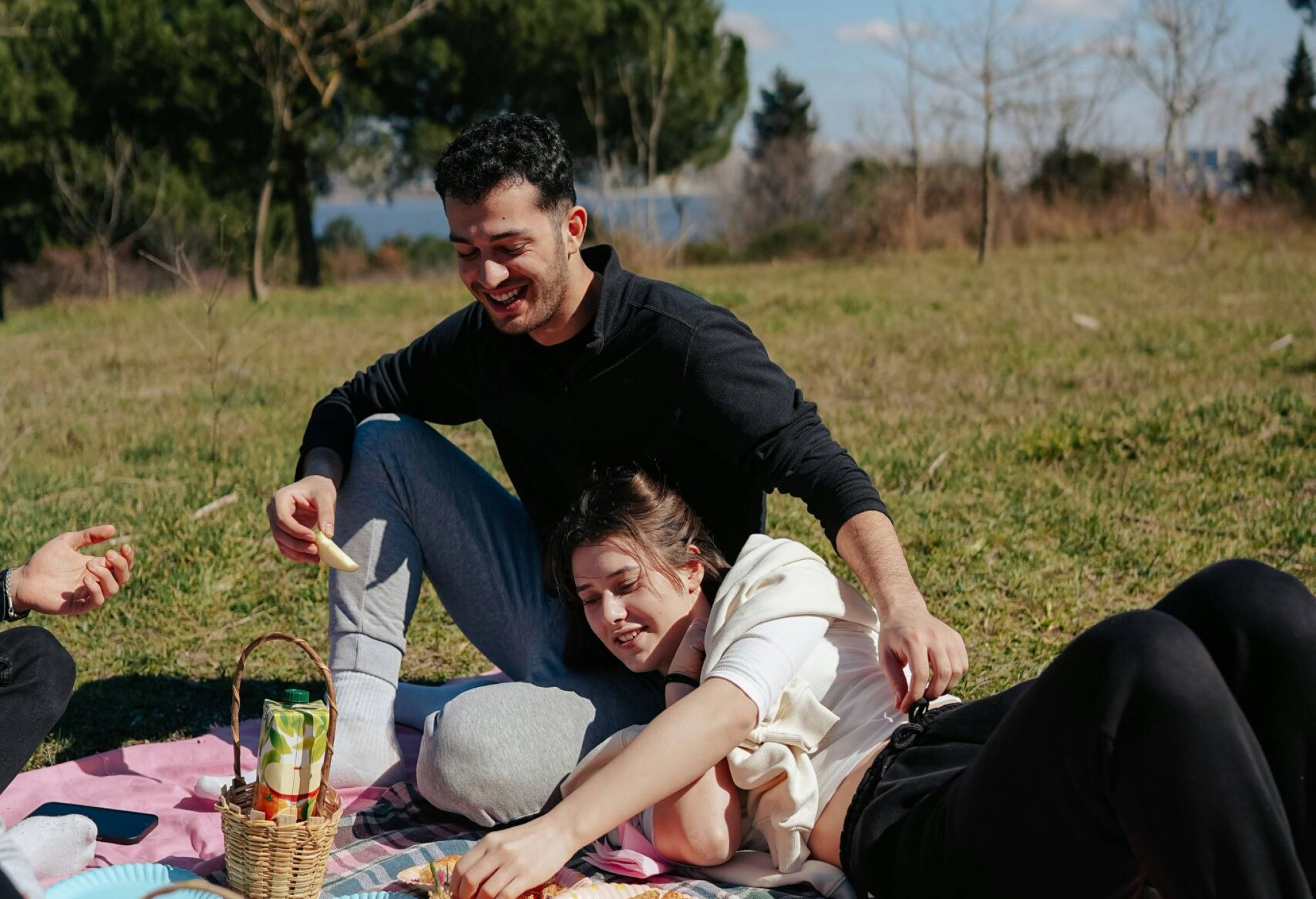 A group enjoys a picnic with fruits and snacks on a pink blanket in a sunny field with trees in the background.