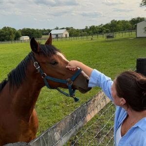 EVERyone gets what they want here