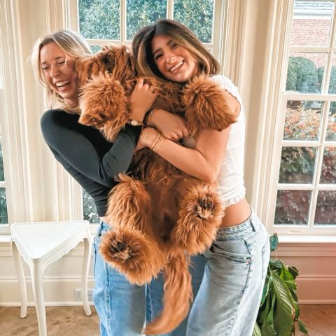 🐾play with puppies, not your ex's feelings...

📍1711 cumberland ave
🗓️wednesday the 11th
⏰1p-4p